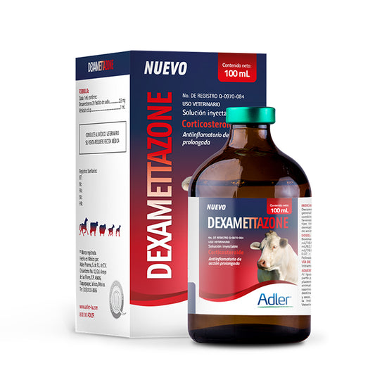 Dexamettazone