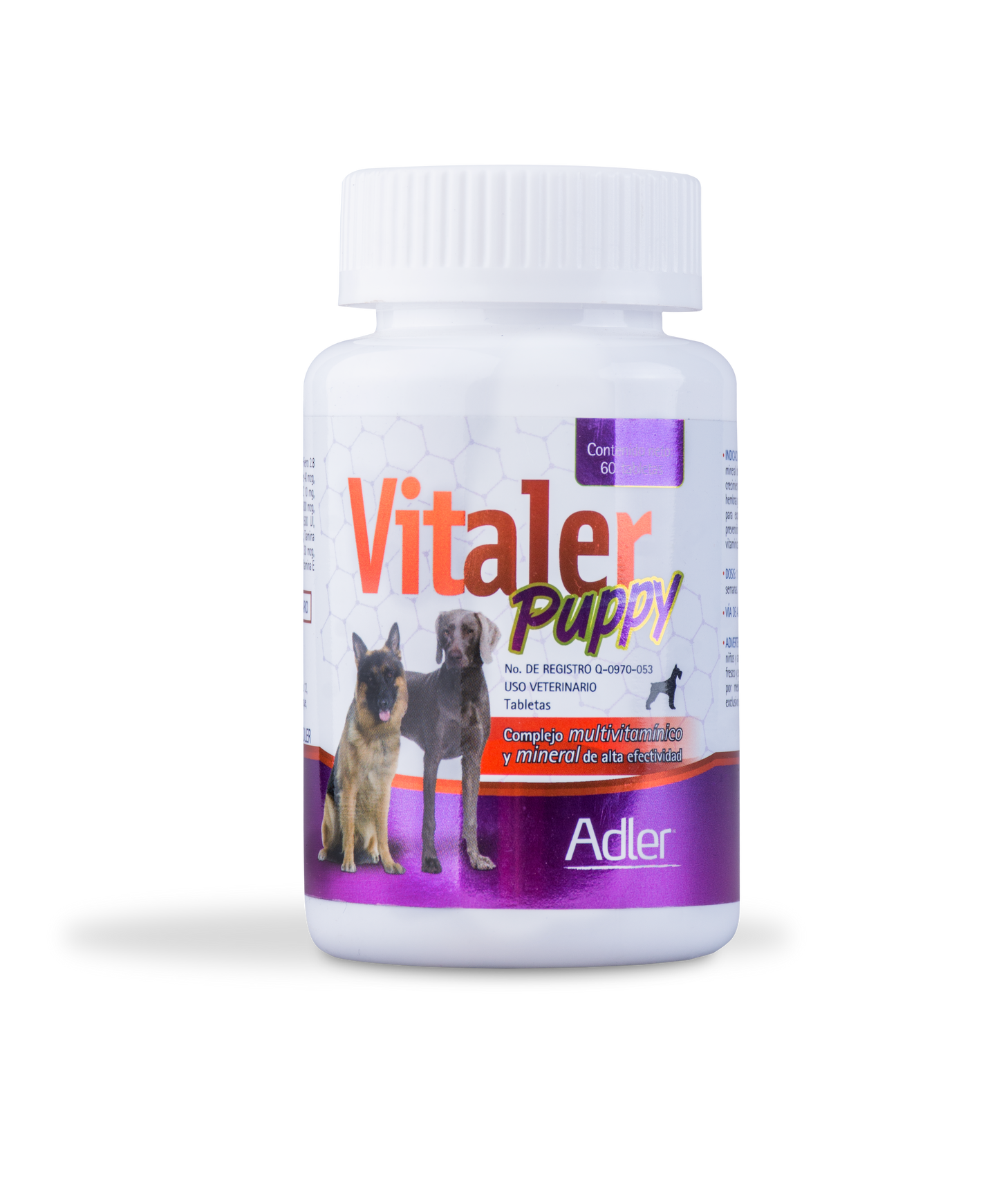 Vitaler-puppy